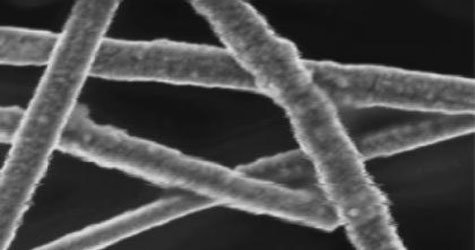 Copper Promises Cheaper, Sturdier Fuel Cells coppernano 991453156